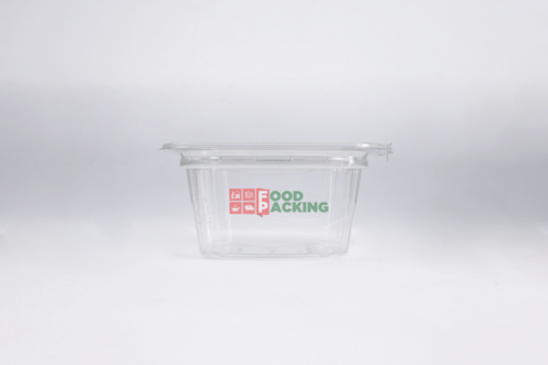 Transparent Hinged Lid Container (16 OZ)