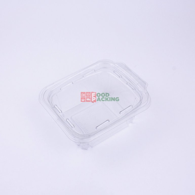 Transparent Hinged Lid Container (12 OZ)