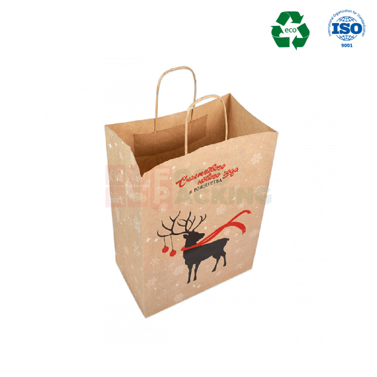 Twisted handle bag  320 mm x 130 mm x 430 mm