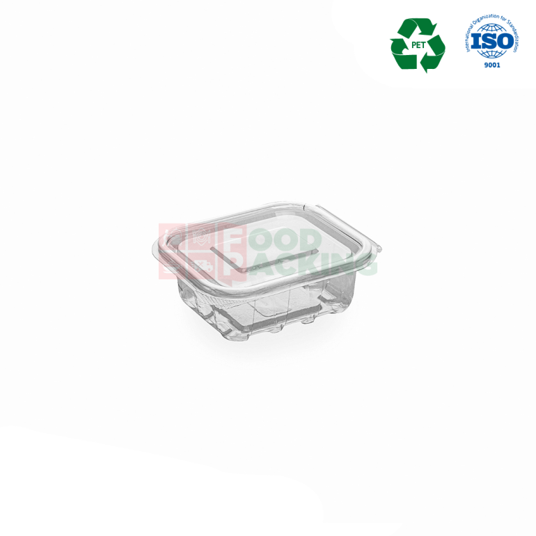 Transparent Hinged Lid Container (20 OZ)