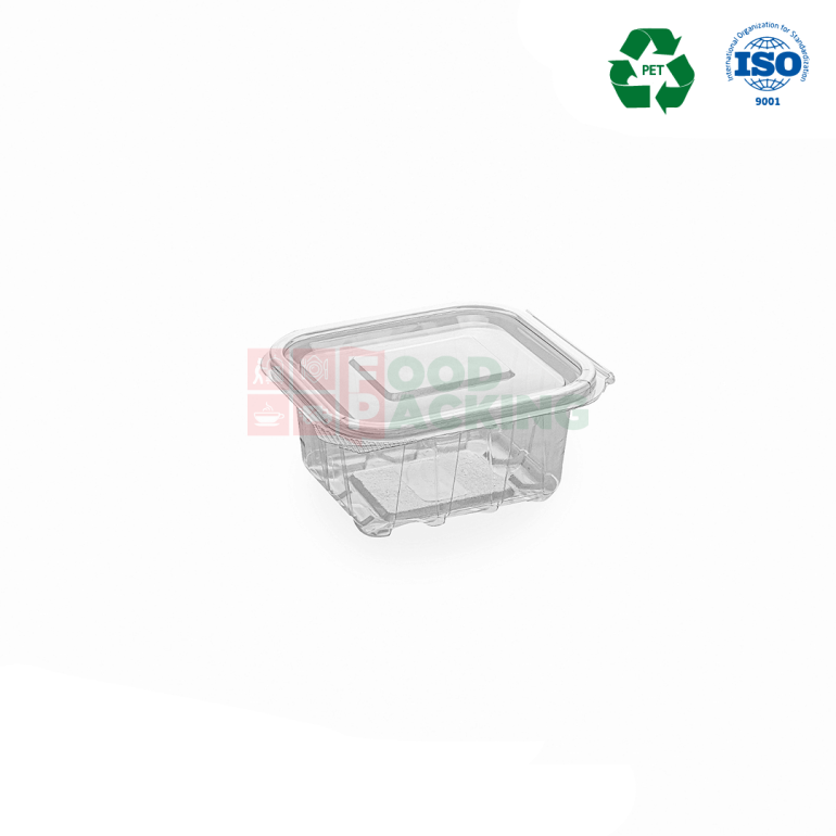 Transparent Hinged Lid Container (24 OZ)