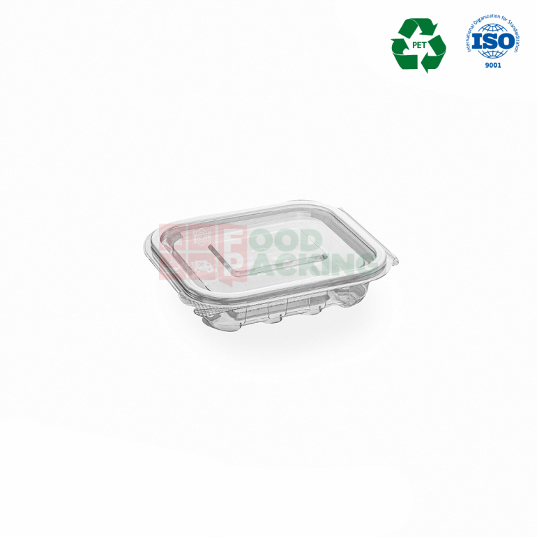 Transparent Hinged Lid Container (48 OZ)