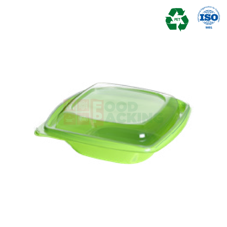 Square Salad Container with lid 750 cc (Green)