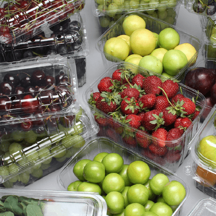 Container for fruits